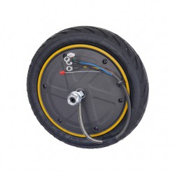 Max G2 Hub Motor